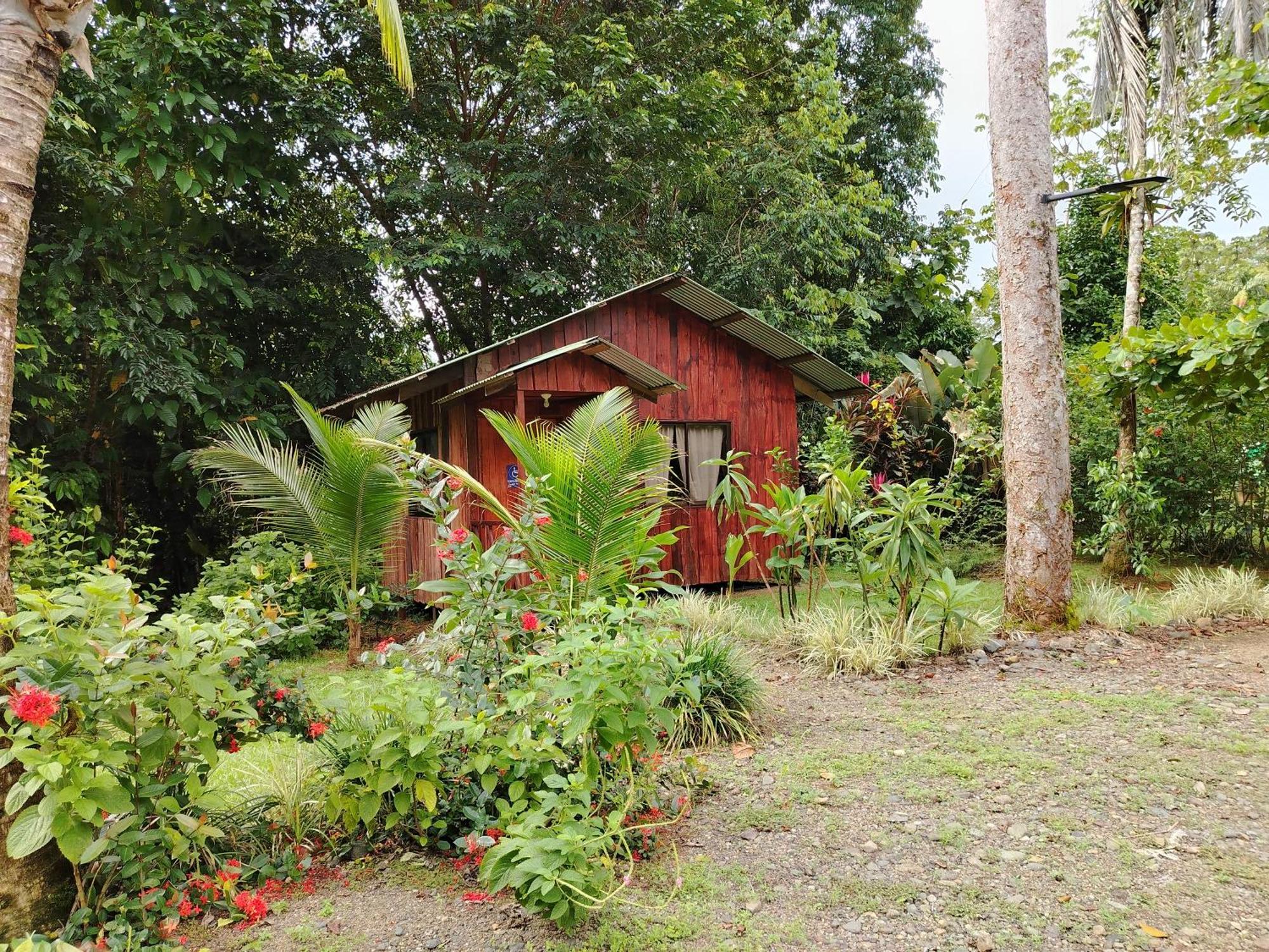 Citronela Lodge Corcovado Drake Bay ภายนอก รูปภาพ