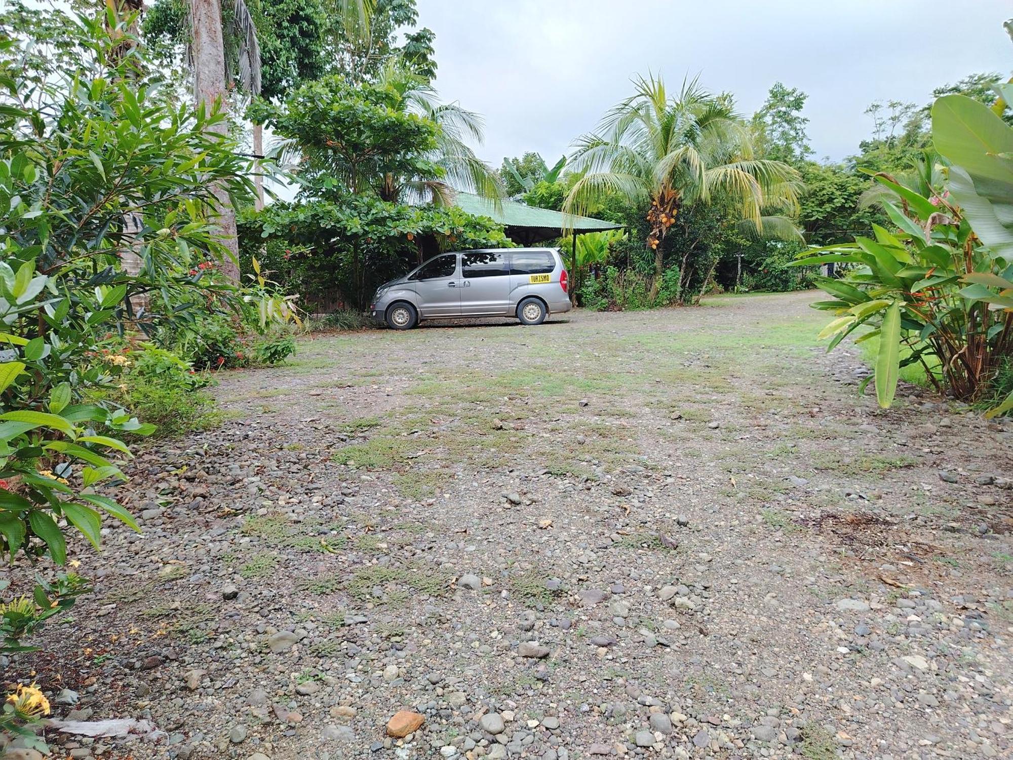 Citronela Lodge Corcovado Drake Bay ภายนอก รูปภาพ