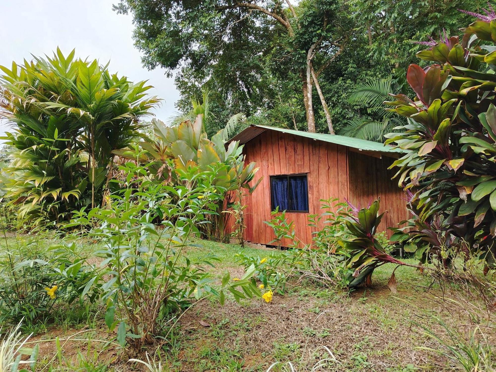 Citronela Lodge Corcovado Drake Bay ภายนอก รูปภาพ