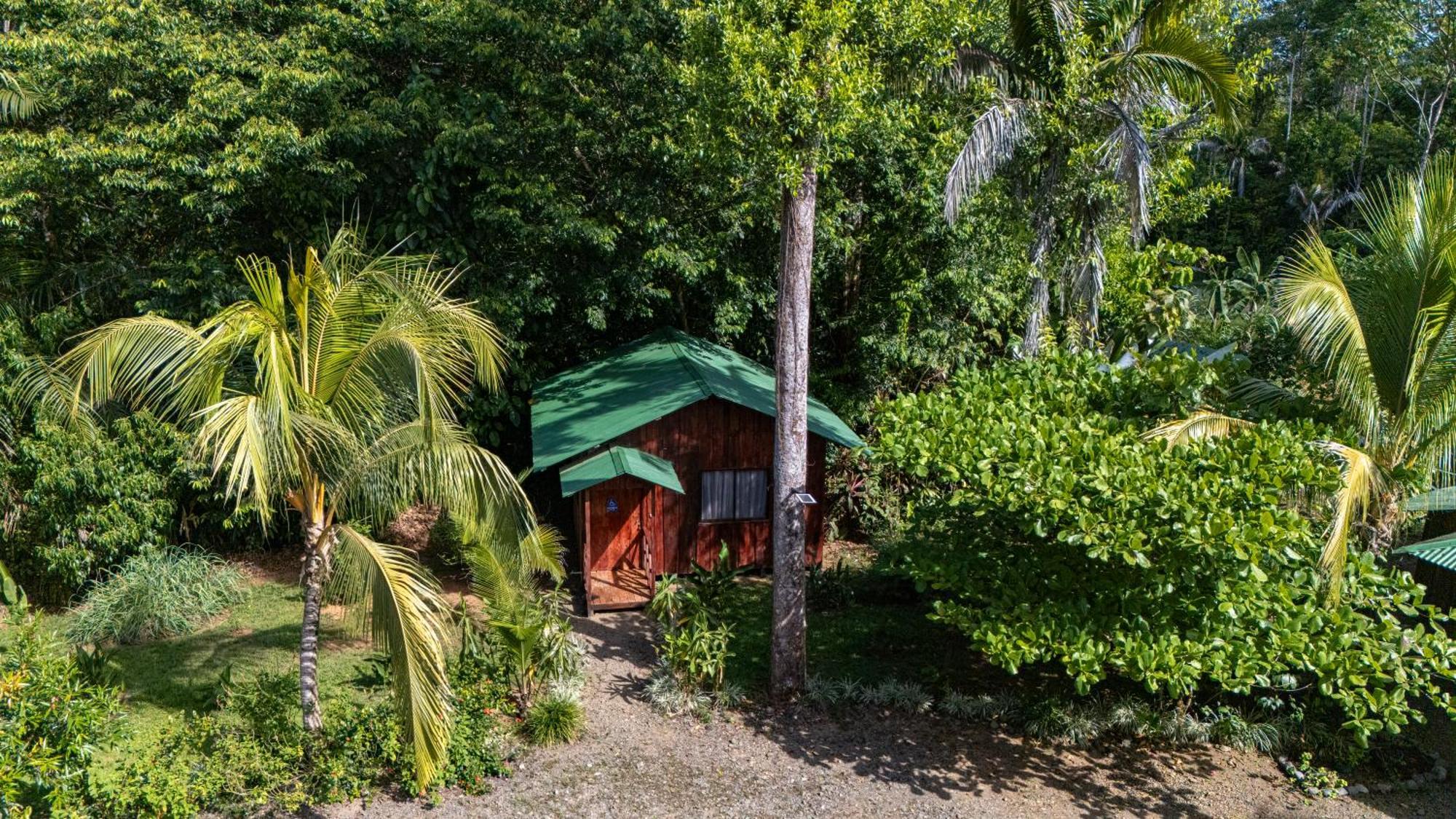 Citronela Lodge Corcovado Drake Bay ภายนอก รูปภาพ