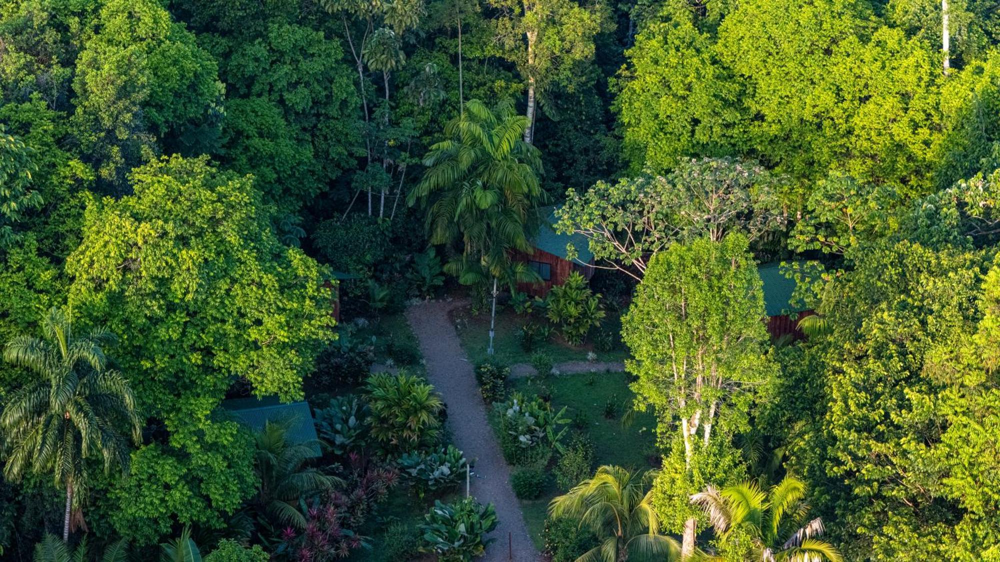 Citronela Lodge Corcovado Drake Bay ภายนอก รูปภาพ