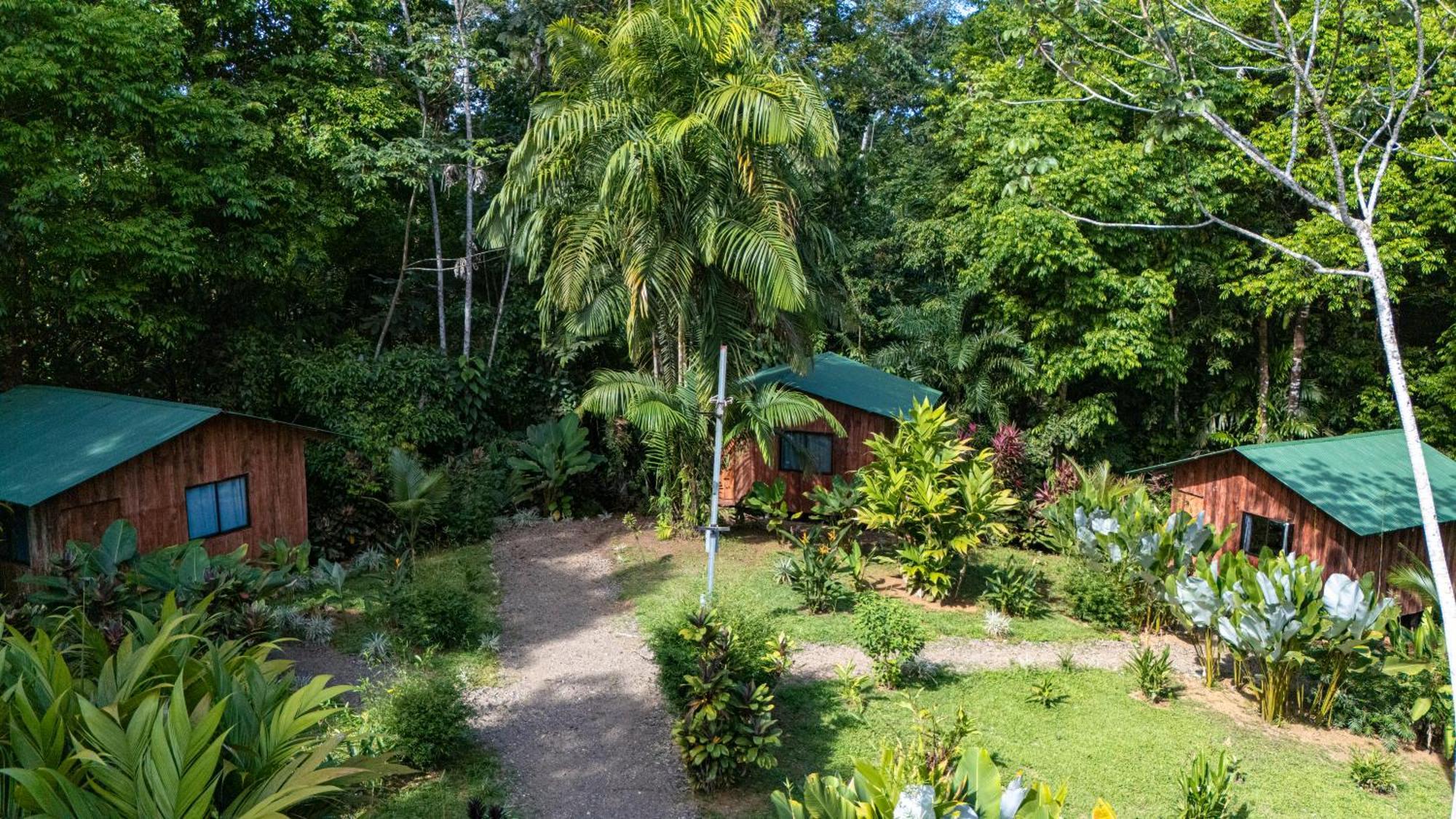 Citronela Lodge Corcovado Drake Bay ภายนอก รูปภาพ