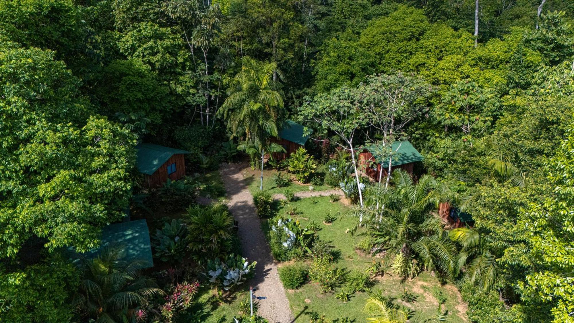 Citronela Lodge Corcovado Drake Bay ภายนอก รูปภาพ