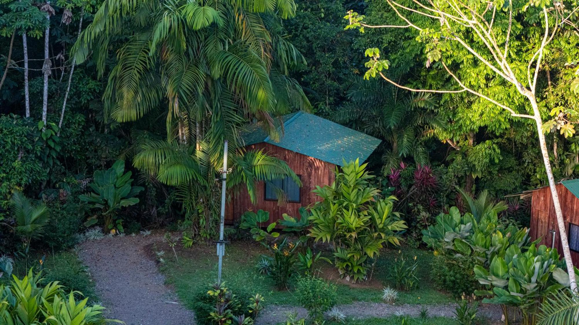Citronela Lodge Corcovado Drake Bay ภายนอก รูปภาพ