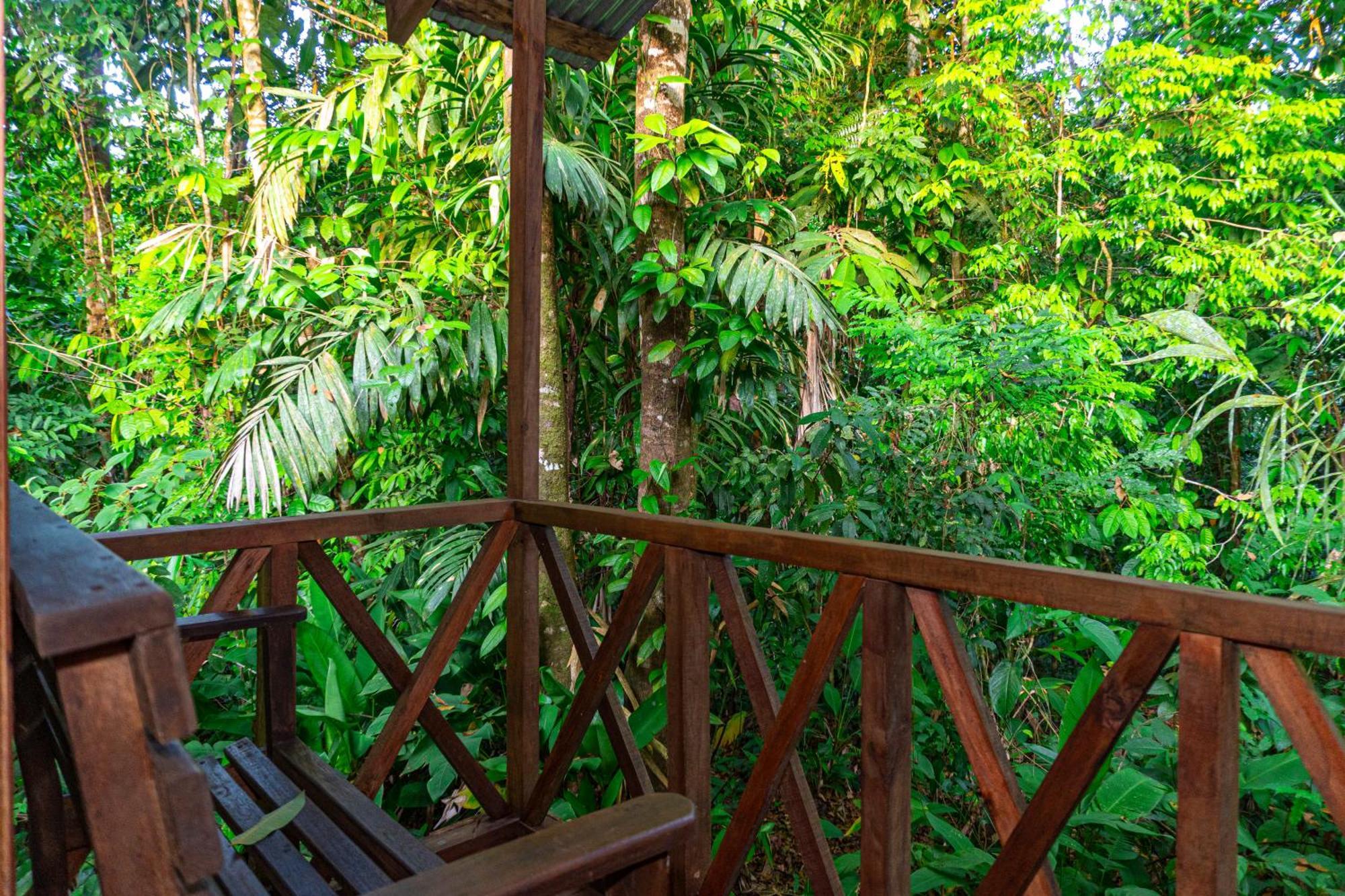 Citronela Lodge Corcovado Drake Bay ภายนอก รูปภาพ