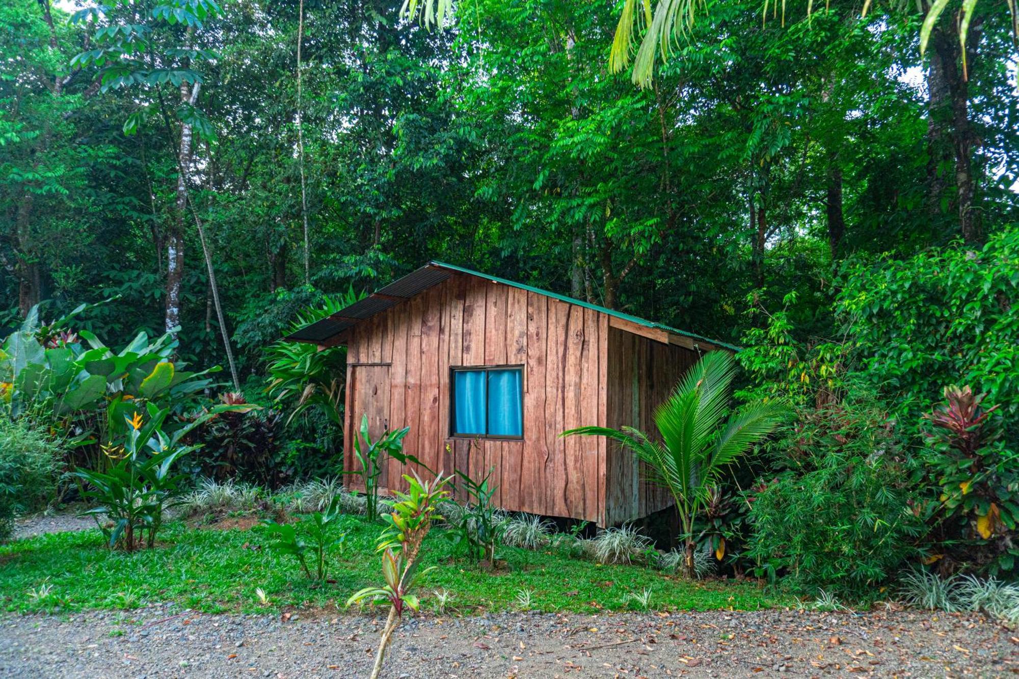 Citronela Lodge Corcovado Drake Bay ภายนอก รูปภาพ
