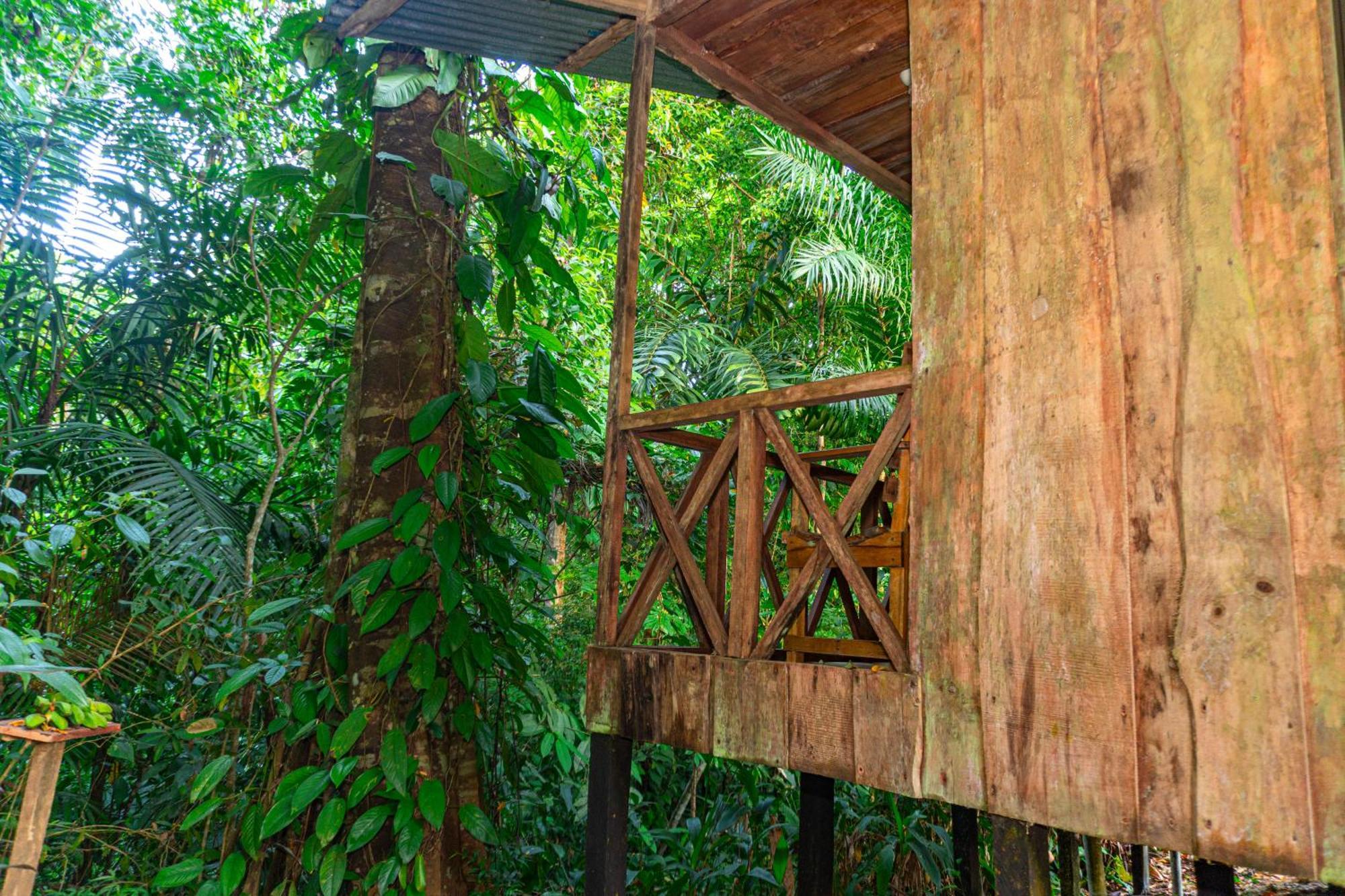 Citronela Lodge Corcovado Drake Bay ภายนอก รูปภาพ