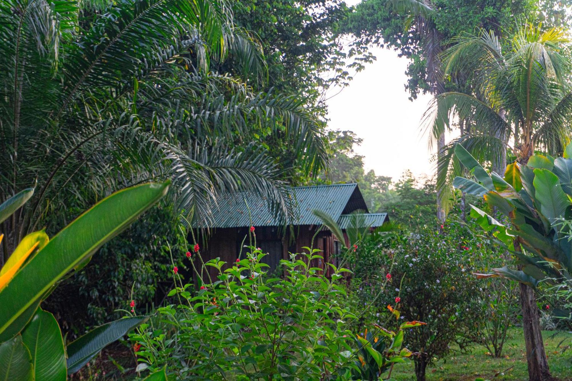 Citronela Lodge Corcovado Drake Bay ภายนอก รูปภาพ