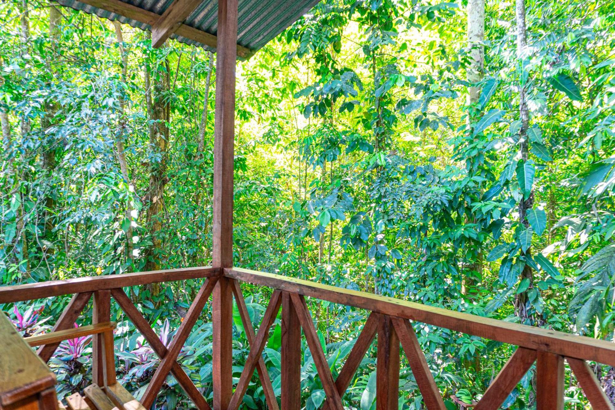 Citronela Lodge Corcovado Drake Bay ภายนอก รูปภาพ