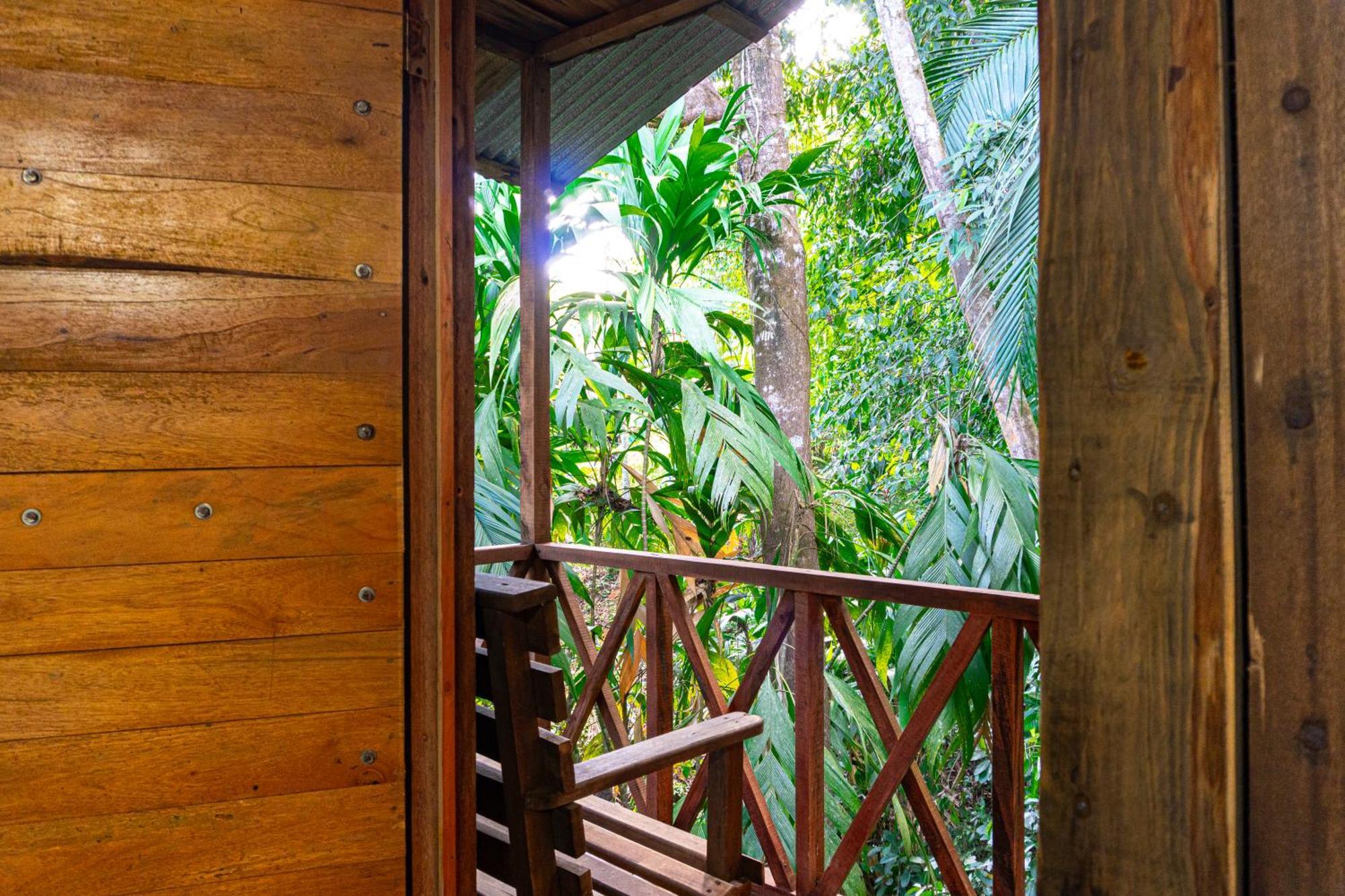 Citronela Lodge Corcovado Drake Bay ภายนอก รูปภาพ