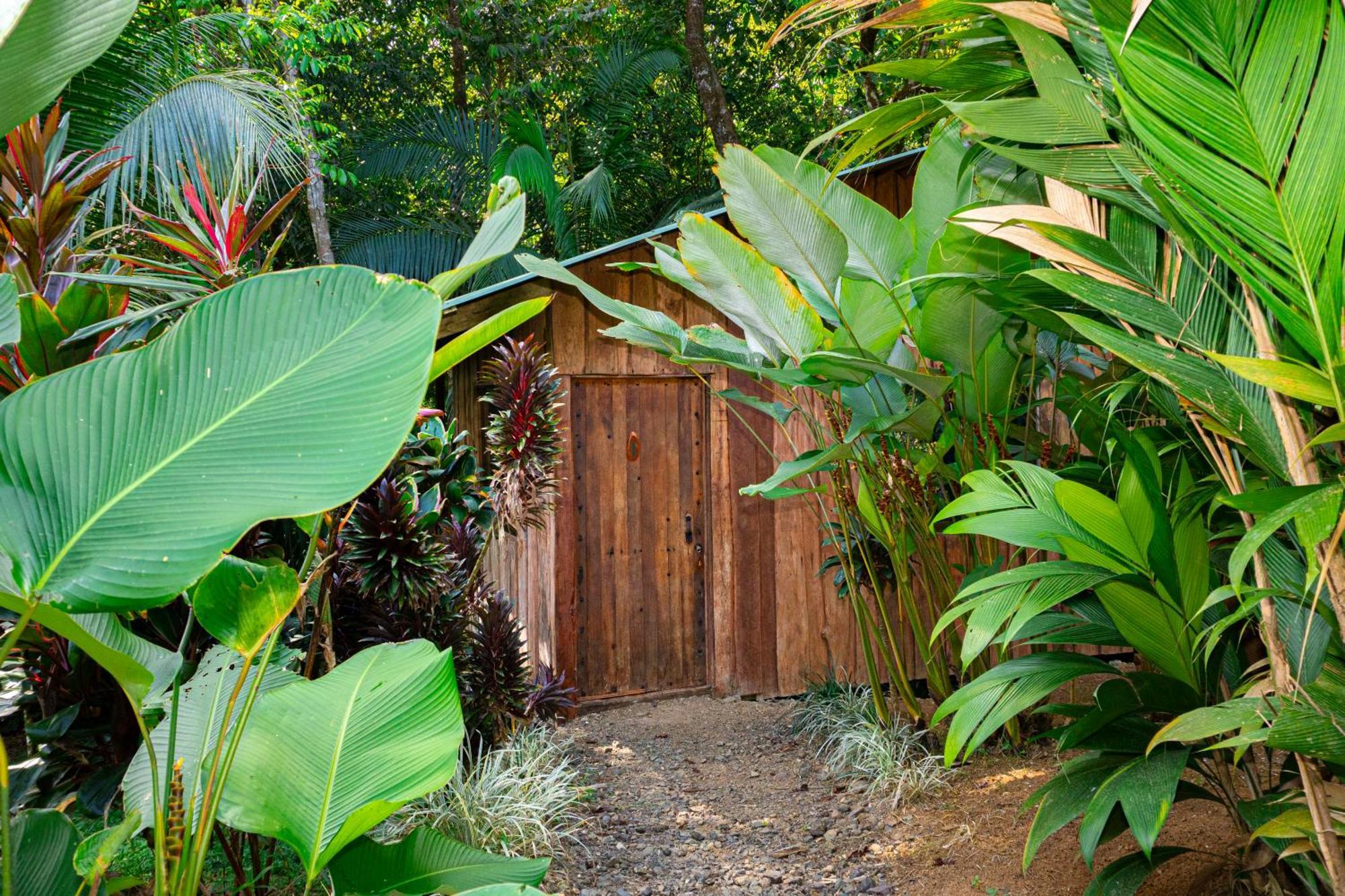 Citronela Lodge Corcovado Drake Bay ภายนอก รูปภาพ