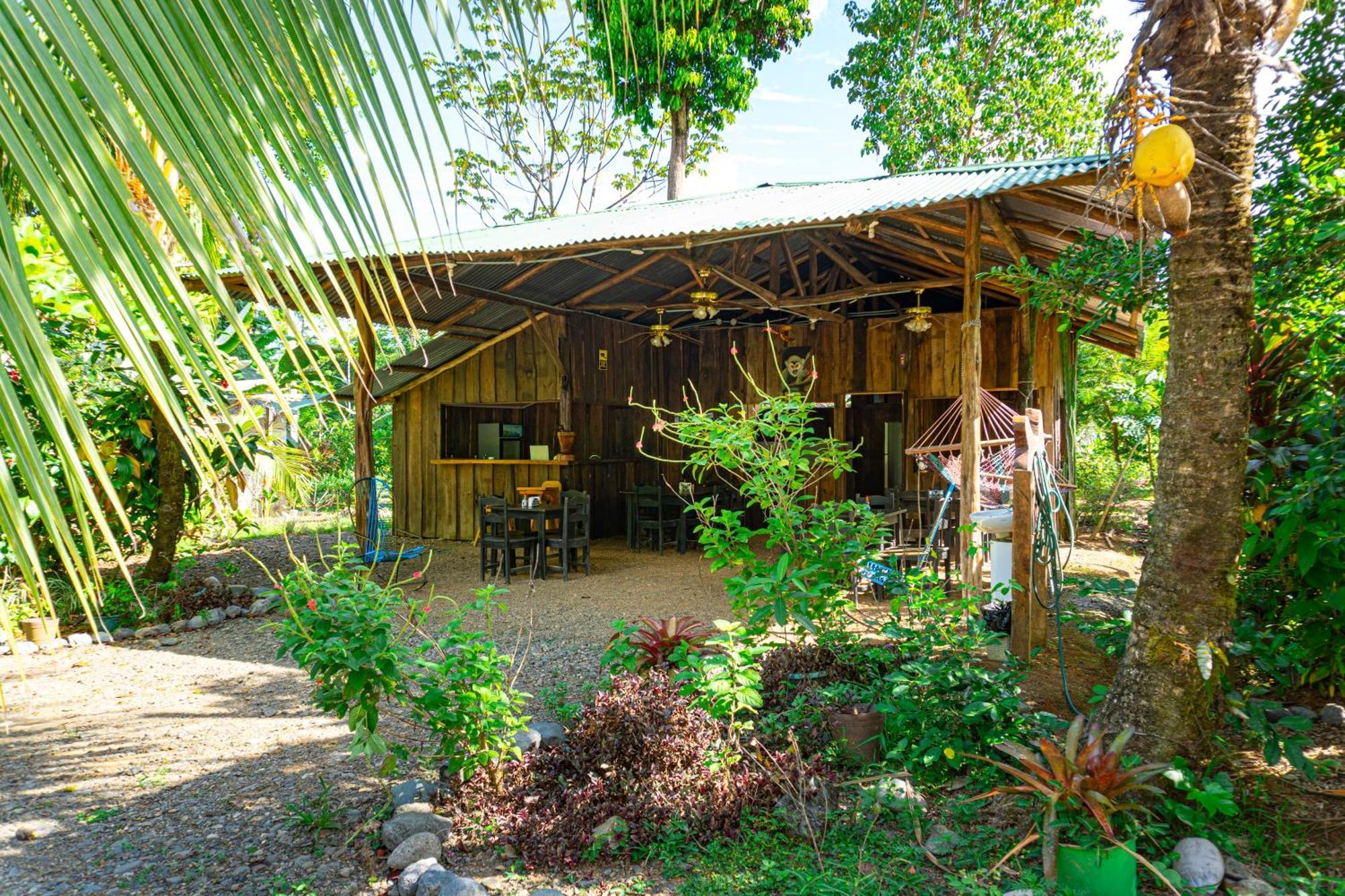 Citronela Lodge Corcovado Drake Bay ภายนอก รูปภาพ
