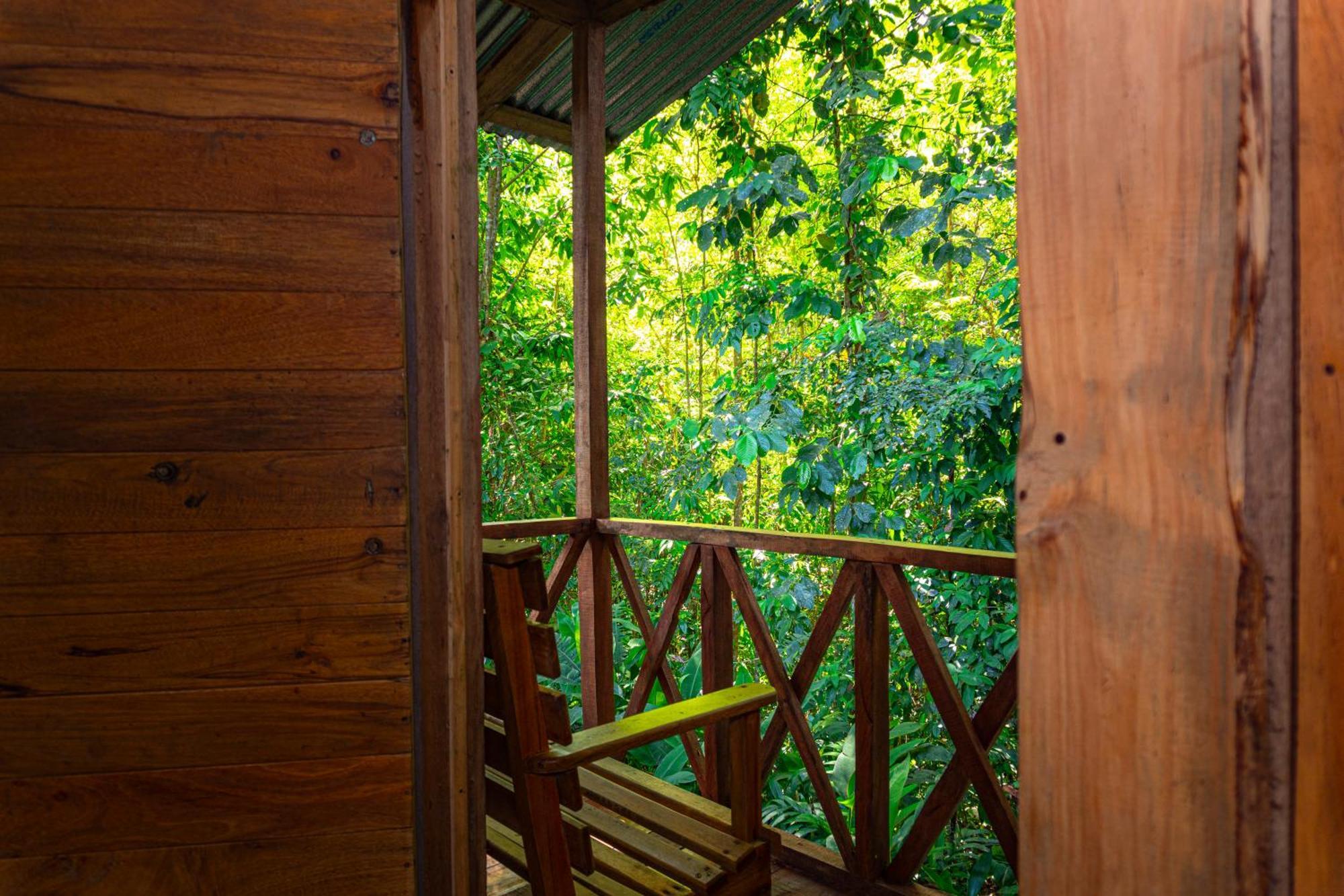 Citronela Lodge Corcovado Drake Bay ภายนอก รูปภาพ