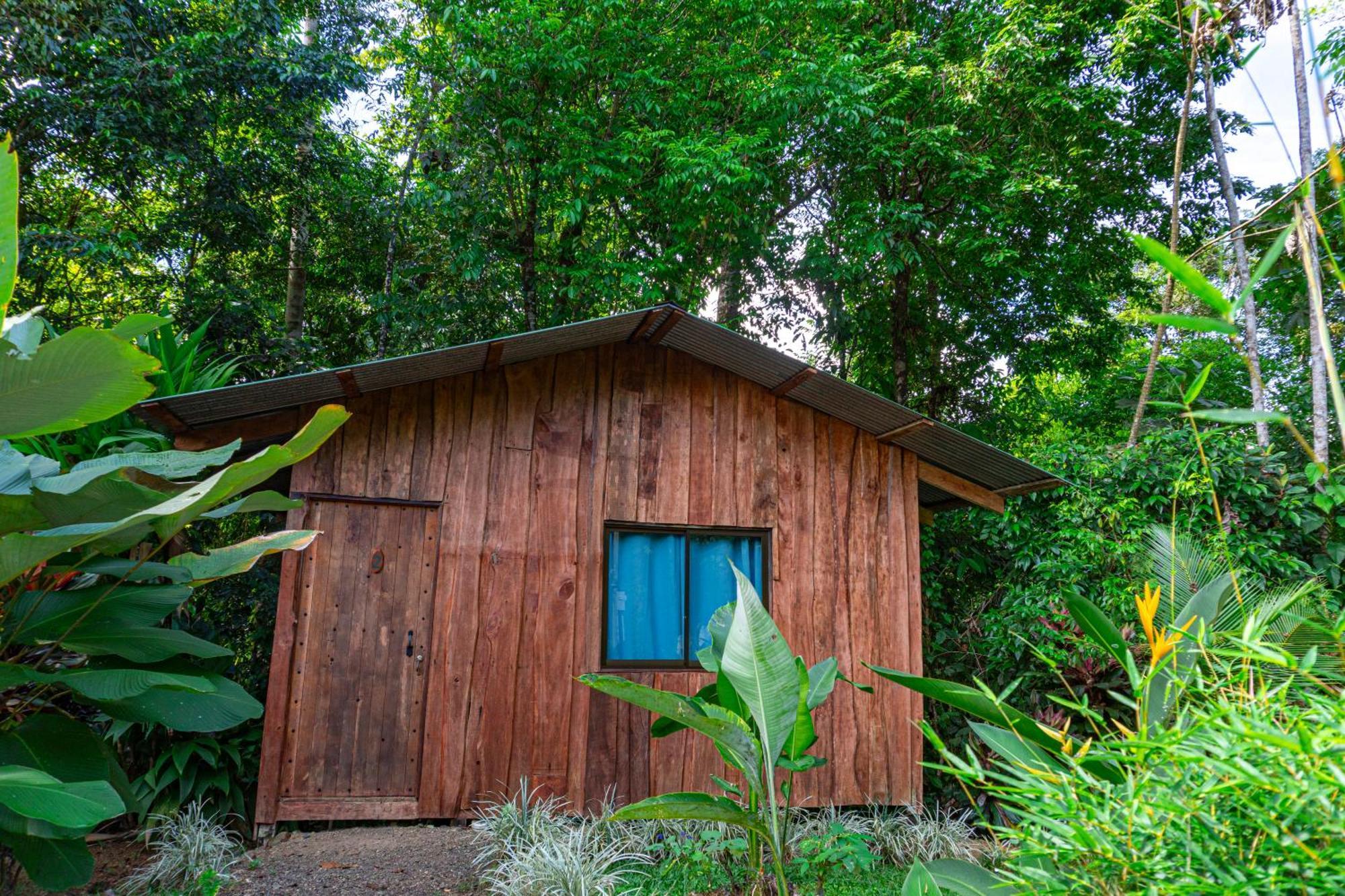 Citronela Lodge Corcovado Drake Bay ภายนอก รูปภาพ
